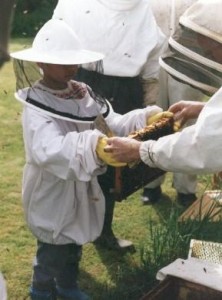 Child beekeeper